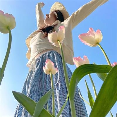 精灵宝可梦：大家的故事